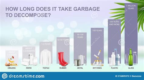 long    garbage  decompose   environment vector infographic waste