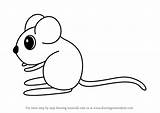 Rat Drawing Draw Kangaroo Easy Kids Step Tutorials Paintingvalley Learn sketch template