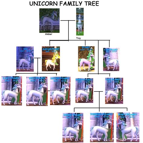 unicornflowers type  unicorn family tree