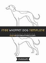 Whippet Sponsored sketch template
