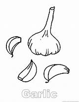 Garlic Coloring Print sketch template