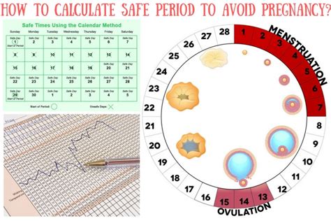 How To Calculate Safe Period To Avoid Pregnancy