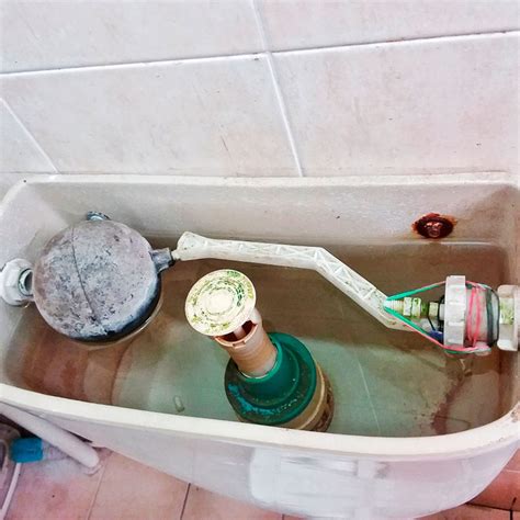clean  toilet tank family handyman
