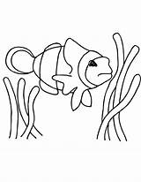 Fish Clipart Clownfish Clown Coloring Printable Clip Cliparts Pages Library Fishing Icon Line Wikiclipart sketch template