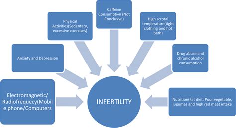 effects of lifestyle factors on fertility practical recommendations