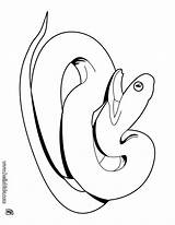 Boa Naja Serpiente Albina Venenosa Repteis Hellokids Reptiles sketch template