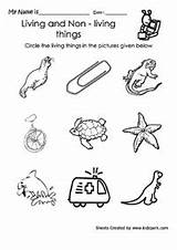 Science Imprimir Kindergarten Etiquetas Ciencias Nonliving Sobres Aula Enseñando Preescolar sketch template