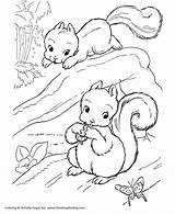 Coloring Squirrel Pages Squirrels Playful Wild Honkingdonkey Print sketch template