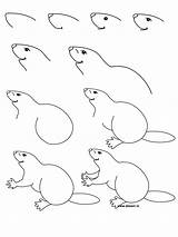 Beaver Draw Drawing Drawings Coloring Simple Easy Pages Kids Animals Step River Dessin Thedrawbot Animal Beavers Instructions Learn Printable Getdrawings sketch template