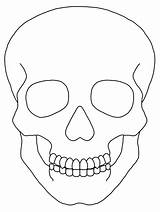 Drawing Skulls sketch template