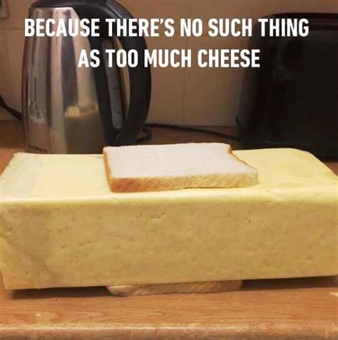 Because Theres No Such Thing As Too Much Cheese Daily Jokes Cheesy