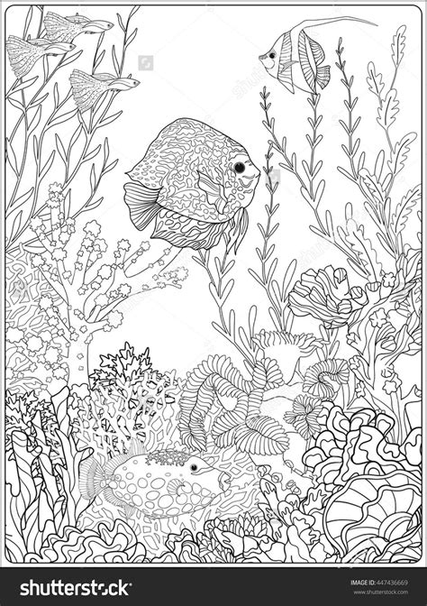 underwater coloring pages learny kids