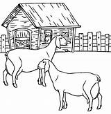 Boerderij Fazenda Animais Ausmalbilder Bauernhof Topkleurplaat Goat Cool2bkids Goats Fazendinha Pintar Boerderijdieren Comofazeremcasa Dieren sketch template