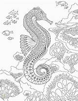 Coloring Sea Seahorse Pages Under Printable Adult Zentangle Therapy Mandalas Print Pdf Ocean Adults Horse Detailed Creatures Mandala Color Para sketch template