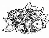 Coy Fish Coloring Pages Beuatiful Drawing sketch template