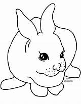 Rabbit Coloring Pages Clipart Bunny Printable Cute Rabbits Baby Template Outline Kids Color Bunnies Face Line Craft Animal Cliparts Colouring sketch template
