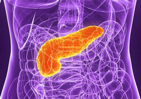 5 Tips For Taking Care Of Your Pancreas Step To Health