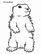 Groundhog Coloring Pages Color Printable Groundhogs Sheet Animals Print Kids Coloriage Info Book Ages Creativity Recognition Develop Skills Focus Motor sketch template