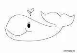 Whale Coloring Kids Colouring Pages Coloringpage Eu Animal Reddit Email Twitter Visit sketch template
