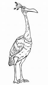 Coloring Pages Bird Kevin Disney Character sketch template