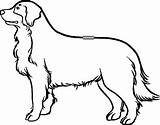 Berner Sennenhund Bernese sketch template