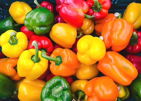 24 types of peppers and when to cook with them purewow