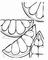 Grapefruit Coloring Pages Cliparts Tim Topsy Template Games Colouring Fruit Clipart Searches Recent Favorites Sun sketch template