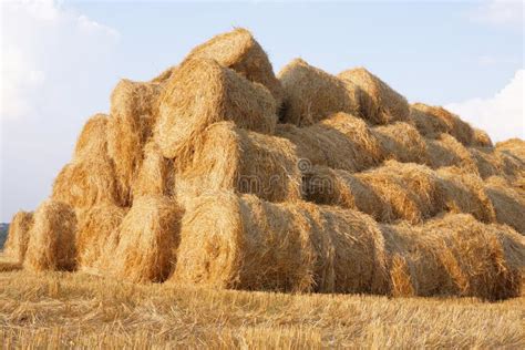 haystack stock photo image  coloured haystack firmament