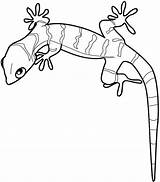 Gecko Lizard Mewarnai Soparla Colorat Cicak Lagartijas Desene Amfibieni Bestcoloringpagesforkids Planse Soparle Lagartija Clipartmag Aboriginal Menta Animale Lightupyourbrain Reptile sketch template
