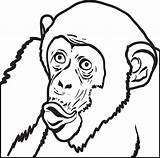 Chimpanzee Coloring Drawing Pencil Face Printable Kids Getcolorings Getdrawings Clipartmag sketch template