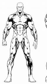 Muscular Body Drawing Anatomy Human Poses Figure Reference Male Draw Muscle Drawings Desenho Sketches Anatomia Comic Corpo Humano Life Man sketch template