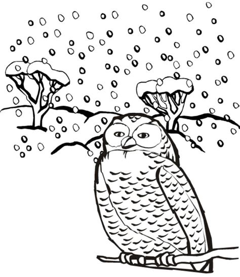 animals  winter printable worksheets sketch coloring page