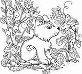 Colouring Animals Forest Mignon Kawaii Printemps Within Albanysinsanity Chien Noir Mythical Intricate Suiting Bukaninfo Borop sketch template