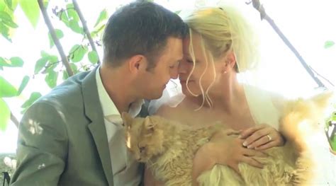 couple tie the knot in front of 1 100 guests… who are all cats metro news
