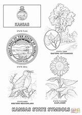 Kansas Coloring Pages State Symbols Flages Printable Seal Clip Template Chiefs City Library Popular sketch template