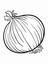 Onion Coloring Pages Colouring Vegetables Vegetable Fruits Drawing Spinach Color Kids Soup Clipart Stone Printable Getdrawings Getcolorings Recommended Zumba Print sketch template