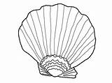 Coloring Seashell Printable Pages Kids sketch template