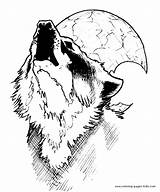 Wolf Coloring Pages Printable Wolves Moon Color Kids Animal Sheets Adults Adult Print Howling Baby Drawing Found Colouring Realistic Book sketch template