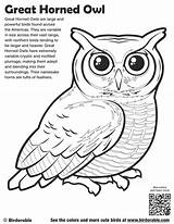 Coloring Owl Pages Horned Great Printable Color Birdorable Getcolorings Sheets Authentic Coloringbay Bird sketch template