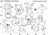 Animals Woodland Forest Coloring Pages Color Getcolorings Col Getdrawings sketch template