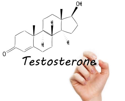 testosterone what is testosterone and how to increase testosterone naturally update jul 2018