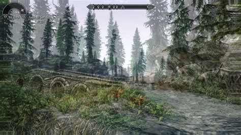 person camara view dissorted slaa optimization problem technical support skyrim