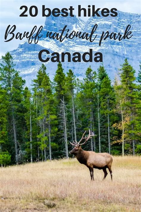 banff hikes 20 best hikes in banff national park canada canada