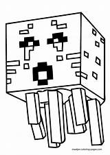 Minecraft Coloring Pages Skins Dragon Ender Library Clipart sketch template
