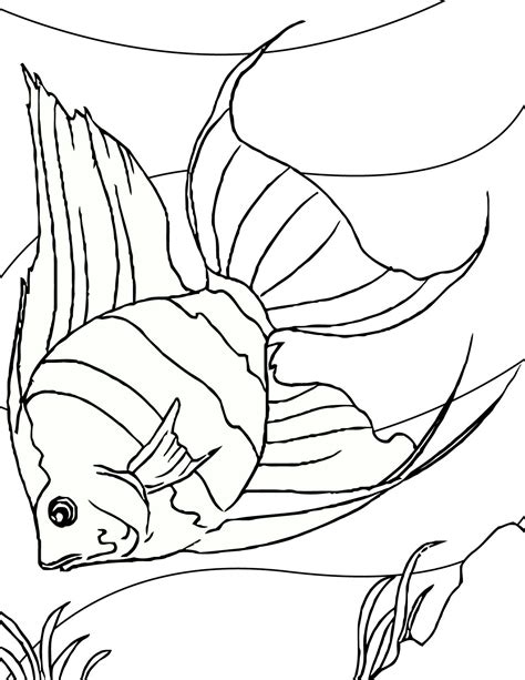 fish coloring pages awesome coloring pages fish coloring page