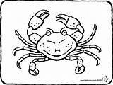 Crab Kiddicolour sketch template