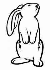 Hase Malvorlage Ausdrucken Bunny sketch template