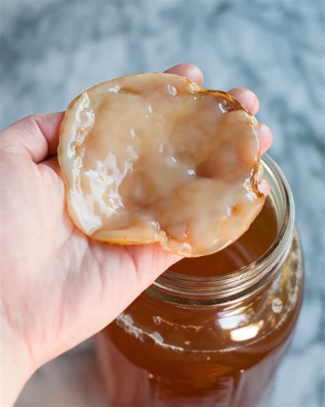 How To Make Your Own Kombucha Scoby Kitchn