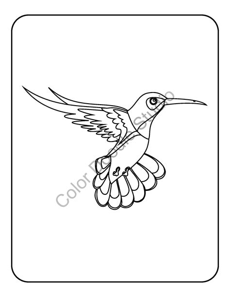 beautiful birds vol  coloring pages downloadable printable etsy