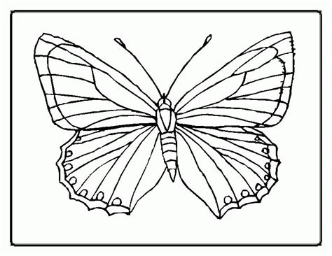 coloring page   butterfly printable coloring page coloring home